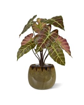 Plante Artificielle Alocasia 40cm Bourgogne