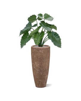 Fausse plante d'Alocasia calidora 60cm