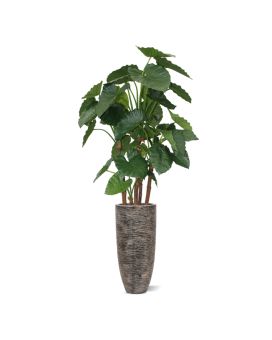 Alocasia Calidora Plante artificielle Deluxe 165 cm FR