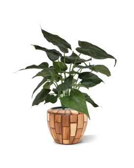 Plante artificielle Alocasia Cucullata 50cm