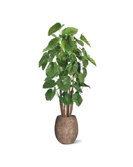 Alocasia Calidora Géant arbre artificielle deluxe de 210 cm