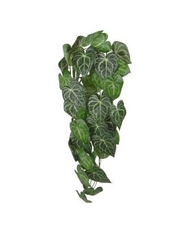 Anthurium Clarinervium en chute artificielle de 80cm