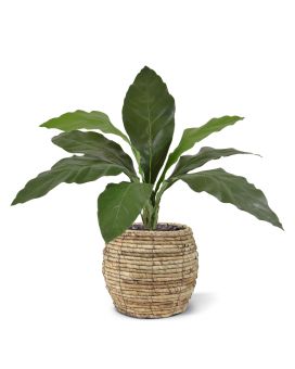 Anthurium Jungle King plante artificielle 60cm