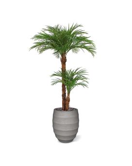 Palmier Artificiel d’ Areca Deluxe 225 cm