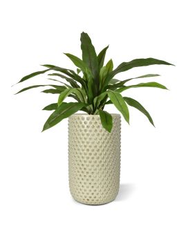 Plante artificielle Asplenium Antiquum Fern 60cm
