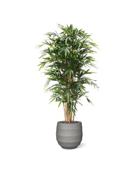 Bambou Arbre artificielle Deluxe de 180 cm
