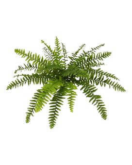 Fougère de Boston plante artificielle de luxe x21 50cm - FR - fire retardant