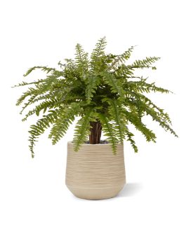 Fougère de Boston XL plante artificielle Deluxe 90cm