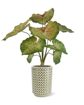 Plante Artificielle de framboise Caladium 40cm