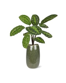 Calathea Roseopicta Plante Artificielle 50cm