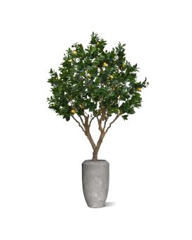 Arbre artificiel Citron 250cm