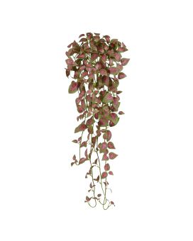 Coleus en chute artificielle de 90cm rose/vert