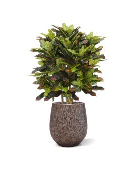 Croton plante artificielle deluxe xl 100 cm
