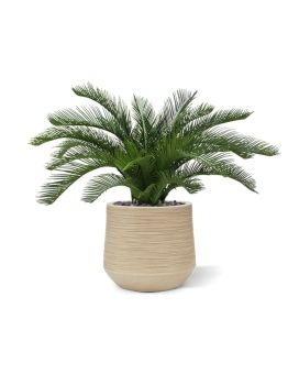 Palmier Cycas artificiel de 60 cm uv