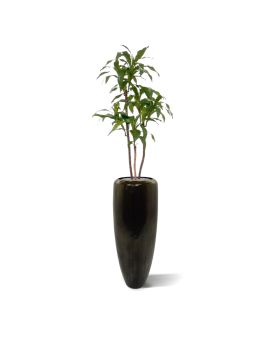 Draceana fragrans artificiel 125cm