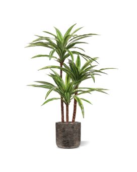 Plante Artificiel Draceana Massangeana Deluxe 95cm