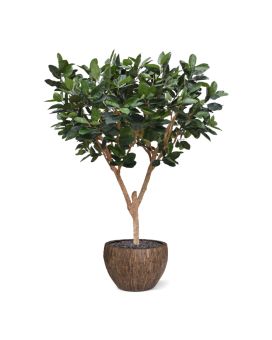 Grand Arbre Elastica Robusta Artificiel XL 300cm vert