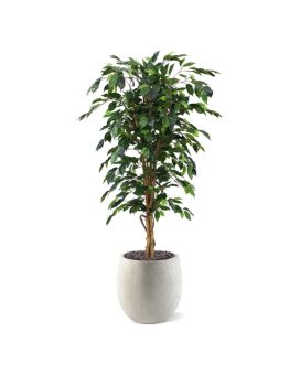 Ficus Plante Artificielle Benjamina de 150 cm