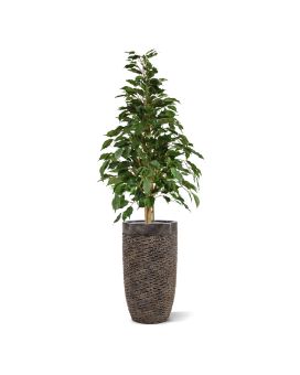 Ficus Exotica Plante Artificielle vert de 120cm