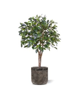 Faux Ficus Folia sur tige 75cm