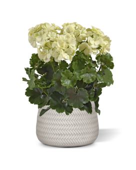 Geranium PL Plante Artificiele XL 40cm UV Creme