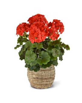 Geranium PL Plante Artificiele XL 40cm UV Rouge