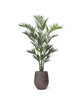 Kentia Palmier Artificiel XL deluxe 260 cm