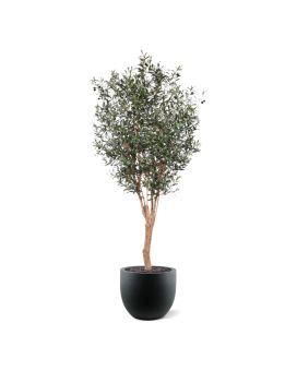 Olivier artificiel Deluxe 250cm