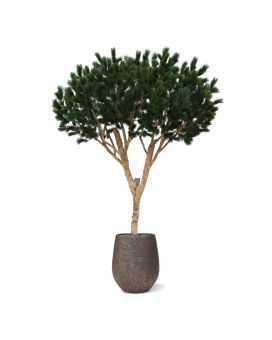 Parapluie Pinus Grand Arbre artificiel Deluxe 260cm