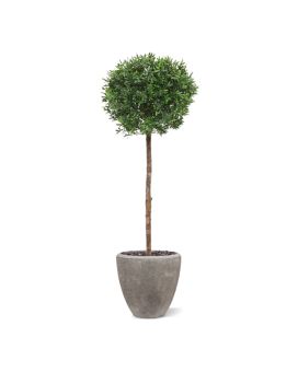 Boule D Ilex artificielle sur tronc de 135 cm anti UV
