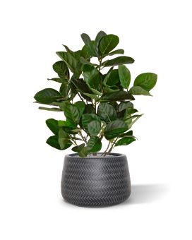 Plante artificielle Jacquier 55cm