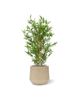 Bambou japonais Plante artificielle 90 cm artificiel anti UV