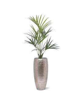 Kentia Palmier artificiel de 135 cm