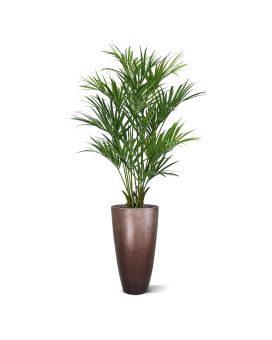 Kentia palmier artificielle XL deluxe 190cm