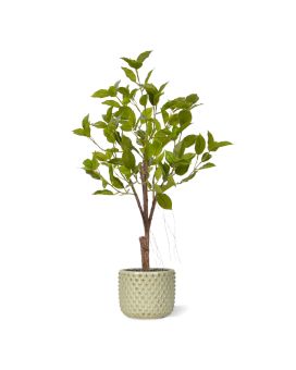Ficus Natacha artificiel Bonsai 60cm vert