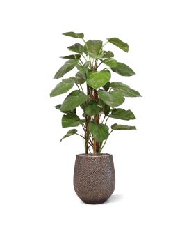 Plante grimpante artificielle Pothos 125cm Deluxe