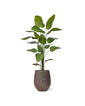 Plante artificielle Strelitzia Nicolai 210cm
