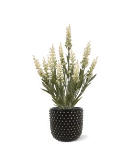 Faux Plante Lavande 30cm UV crème