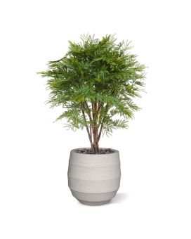 Mimosa plante artificielle de 110 cm anti UV