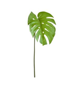Monstera Tige Artificielle 65cm vert