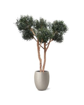 Bonsaï d'olivier artificiel Deluxe 250cm