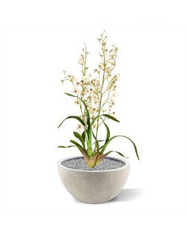 Oncidium Deluxe Plante Artificielle de 80 cm creme