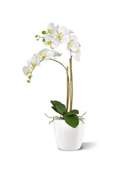 Phalaenopsis Orchidee Plante Artificielle en pot 65cm