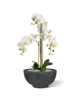 Orchidée Phalaenopsis Plante Artificielle 75cm blanche