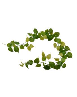 Guirlande artificielle Philodendron Micans RT 180cm