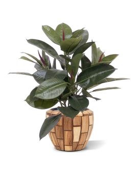 Philodendron artificiel 50 cm en pot
