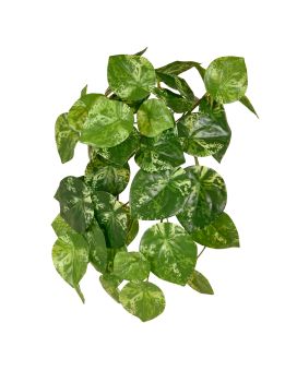 Pilea Peperomioides plante artificielle suspendue varigué 30cm