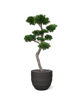 Arbre de Pinus Bonsaï XL artificiel de 200 cm UV