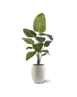 Plante artificielle Strelitzia Nicolai 150cm