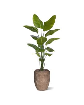 Plante artificielle Strelitzia Nicolai 175cm